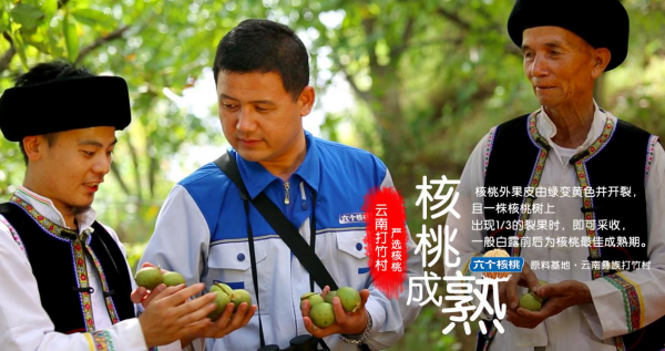不朽情缘_官方网站