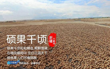 不朽情缘_官方网站
