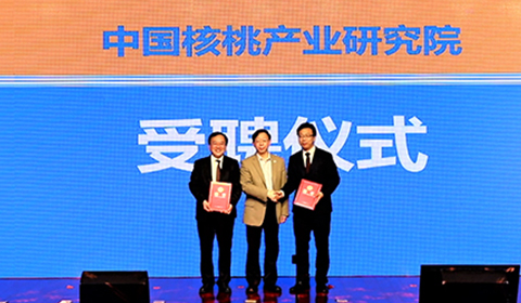 不朽情缘_官方网站