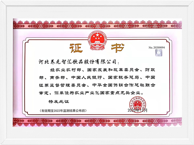 不朽情缘_官方网站