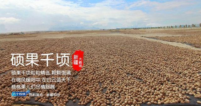 不朽情缘_官方网站