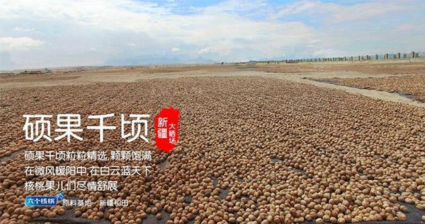 不朽情缘_官方网站
