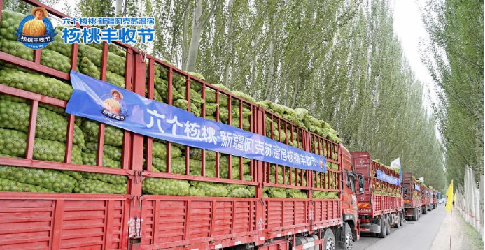 不朽情缘_官方网站