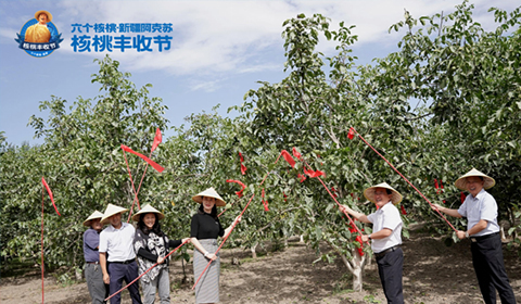 不朽情缘_官方网站