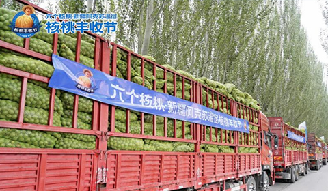 不朽情缘_官方网站