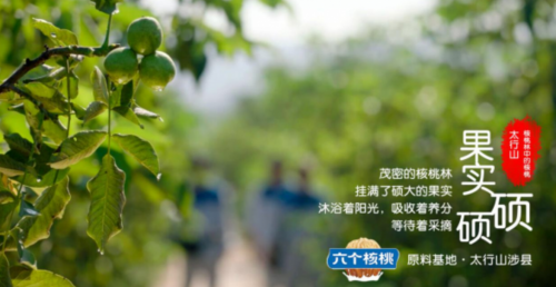 不朽情缘_官方网站