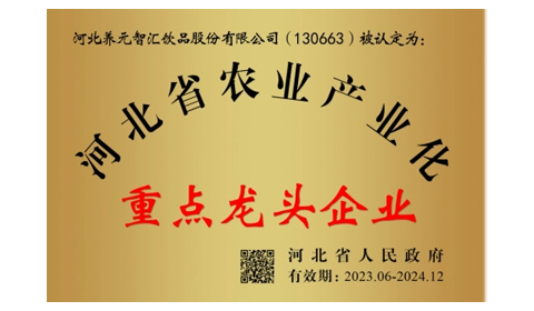 不朽情缘_官方网站