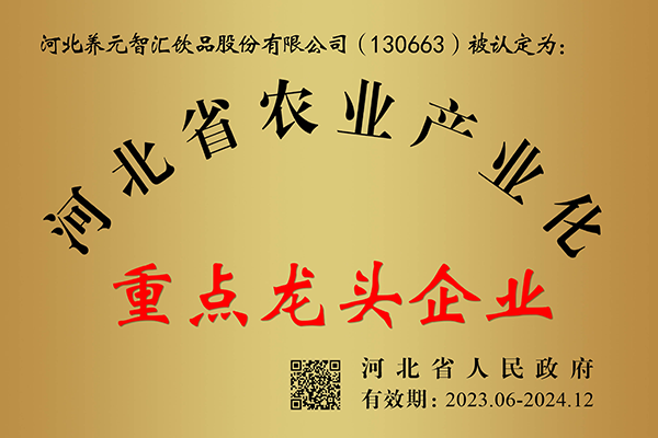 不朽情缘_官方网站