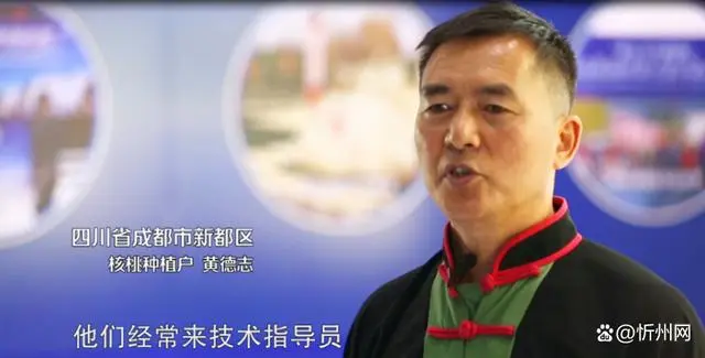 不朽情缘_官方网站