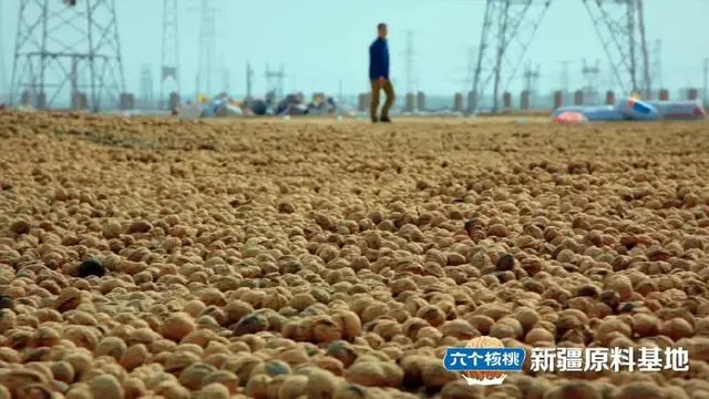 不朽情缘_官方网站