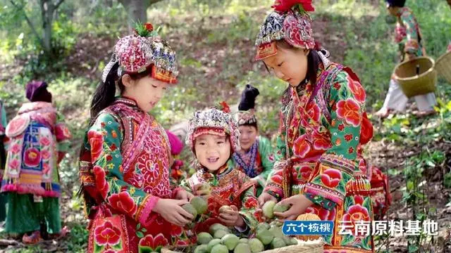 不朽情缘_官方网站