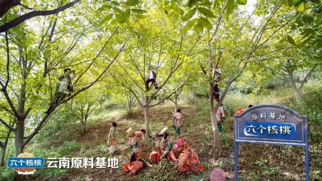 不朽情缘_官方网站