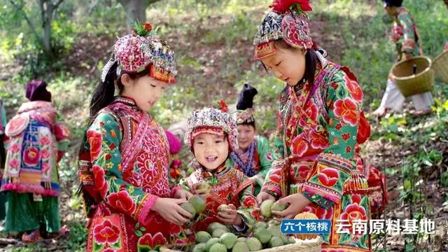 不朽情缘_官方网站